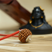 Nepal Origin 7 Mukhi Rudraksha (Silver Capped)