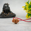 Gauri Shankar Rudraksha
