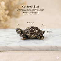 Pyrite Tortoise