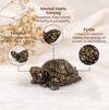 Pyrite Tortoise